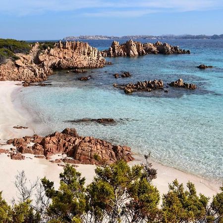 Casa Duminicheddha, Mare E Relax In Gallura Bassacutena Extérieur photo