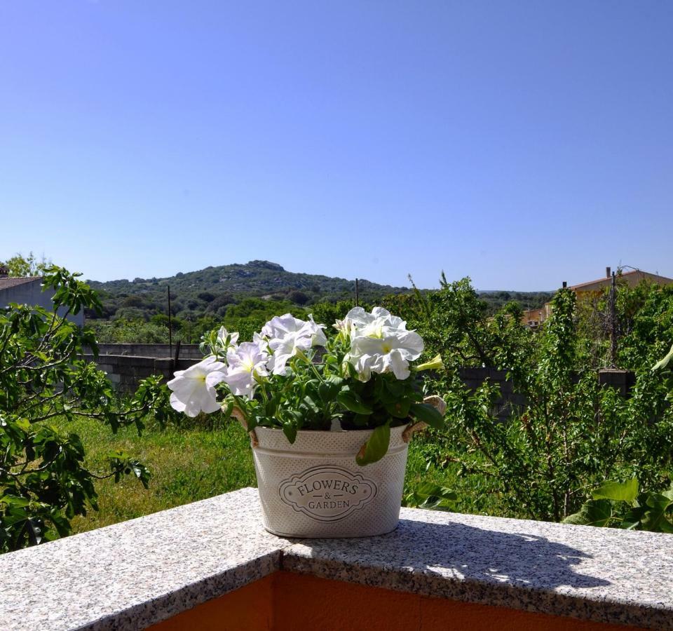 Casa Duminicheddha, Mare E Relax In Gallura Bassacutena Extérieur photo