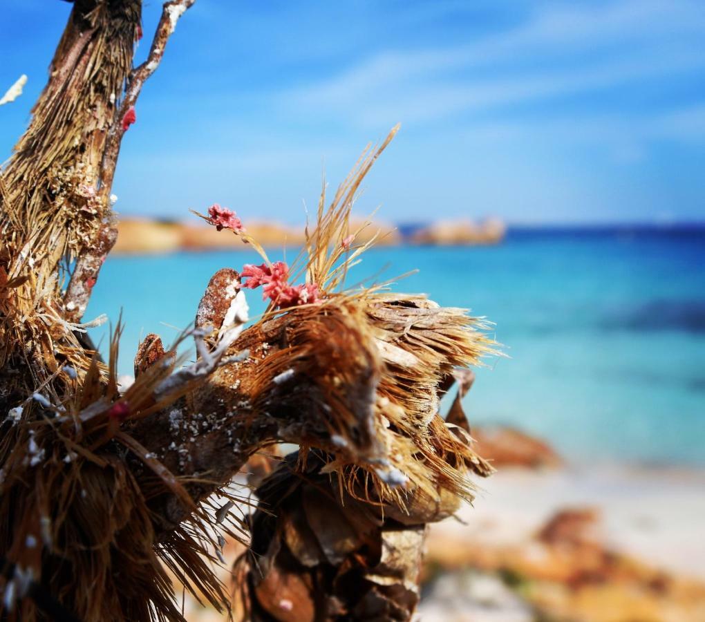 Casa Duminicheddha, Mare E Relax In Gallura Bassacutena Extérieur photo